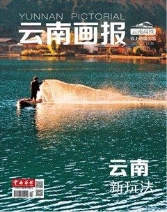 云南畫報(bào)