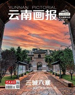 云南畫報(bào)