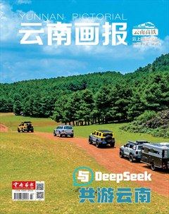 云南畫報(bào)