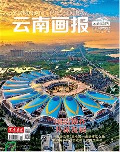 云南画报