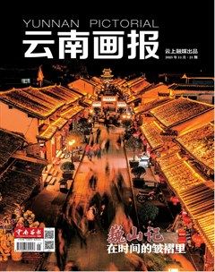 云南画报