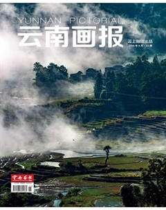 云南画报
