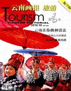 2010年第5期