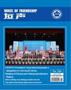 Voice Of Friendship