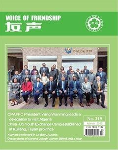Voice Of Friendship