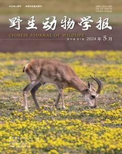 野生动物学报