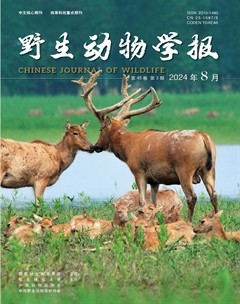 野生动物学报