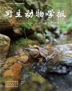 野生动物学报