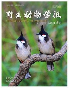 野生动物学报