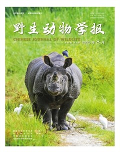 野生动物学报