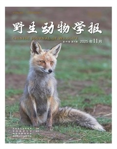 野生动物学报