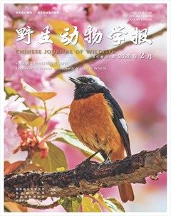 野生动物学报