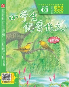 小学生优秀作文·低年级