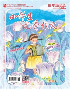 小学生优秀作文·低年级