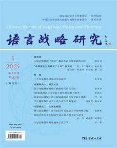 语言战略研究