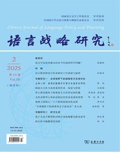 语言战略研究