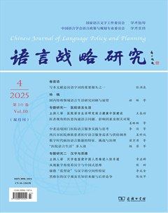 语言战略研究