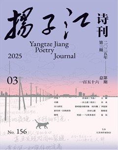 扬子江
