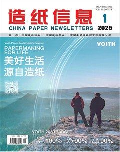 造纸信息
