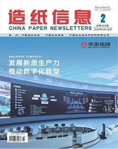 造纸信息