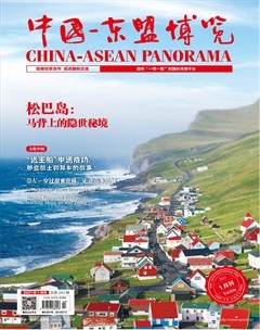 中国-东盟博览（旅游版）