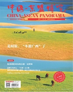 中国-东盟博览（旅游版）
