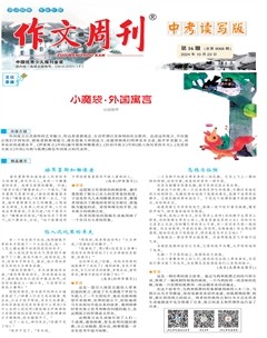 作文周刊·中考讀寫版