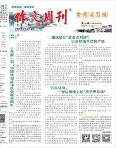 作文周刊·中考读写版