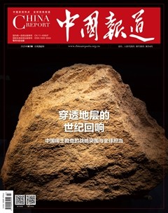 中国报道