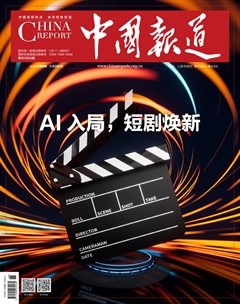 中国报道
