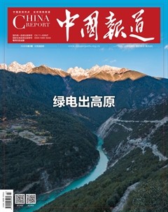 中国报道