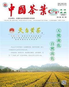 中国茶叶