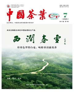 中國(guó)茶葉