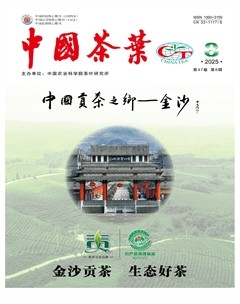 中国茶叶