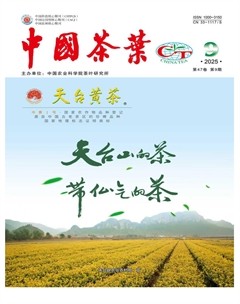 中国茶叶