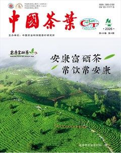 中国茶叶
