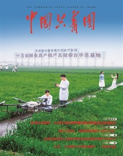中国共青团