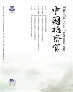 中国检察官·经典案例