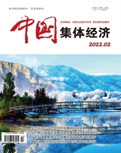 中国集体经济