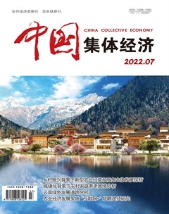 中国集体经济