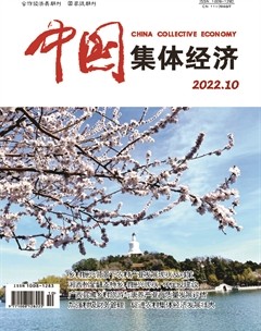 中国集体经济