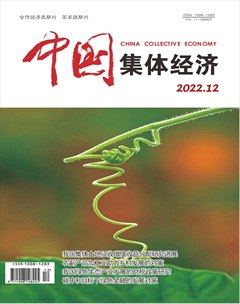 中国集体经济