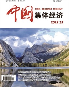 中国集体经济