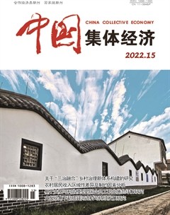 中国集体经济