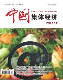 中国集体经济