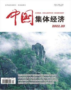 中国集体经济