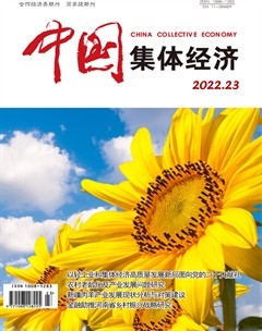 中国集体经济