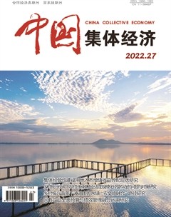 中國集體經(jīng)濟(jì)