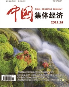 中国集体经济