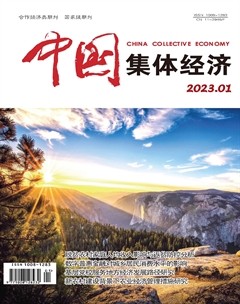 中国集体经济